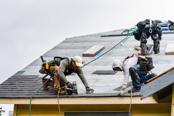 Professional Emergency Roof Repair technician working in Snover, MI
